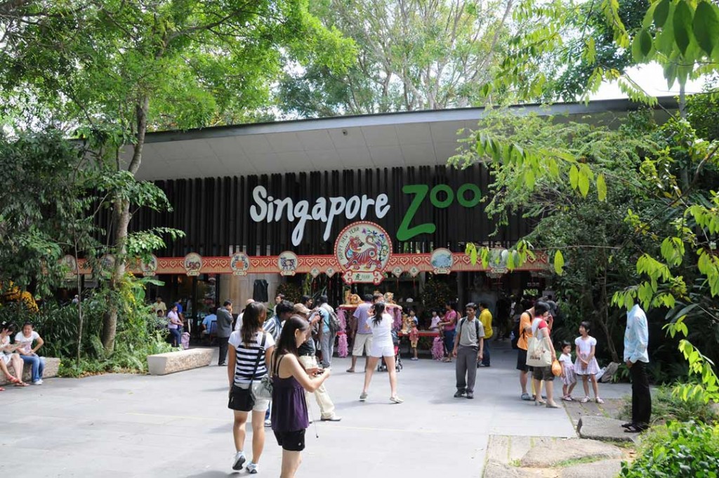 Singapore_Zoo